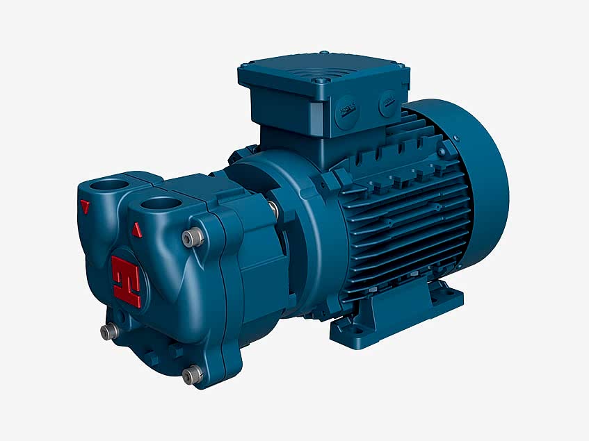 Travaini TRM Liquid Ring Vacuum Pump